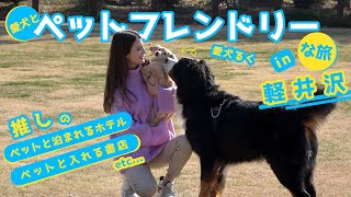 ペットと一緒に軽井沢Trip♪レジーナリゾート軽井沢&軽井沢書店&ドッグランで楽しんできましたー!